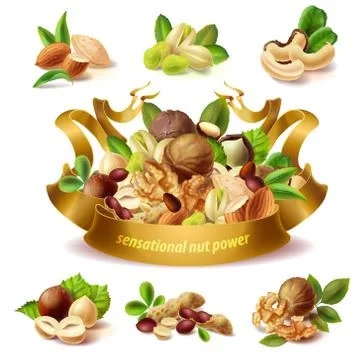 Vector 3d realistic set of different nuts Stock Illustration