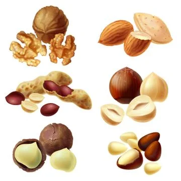 Vector 3d realistic set of various nuts Stock Illustration
