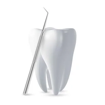 Vector 3d Realistic Tooth and Dental Probe for Teeth Closeup Isolated on White Stock Illustration