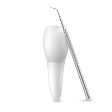Vector 3d Realistic Tooth and Dental Probe for Teeth Closeup Isolated on White Stock Illustration