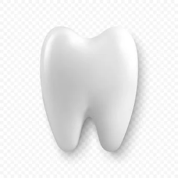 Vector 3d Realistic Tooth. Dental Inspection Banner, Plackard. Tooth Icon Stock Illustration