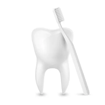 Vector 3d Realistic Toothbrush and Tooth Closeup Isolated on White Background Stock Illustration