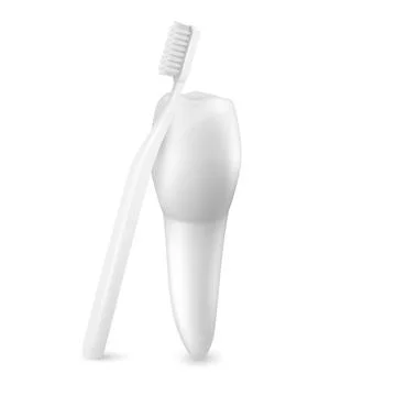 Vector 3d Realistic Toothbrush and Tooth Closeup Isolated on White Background Stock Illustration
