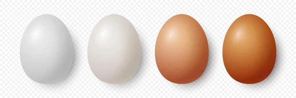 Vector 3d Realistic White and Brown Chicken Eggs Closeup Isolated. Chicken Egg Illustrazione stock