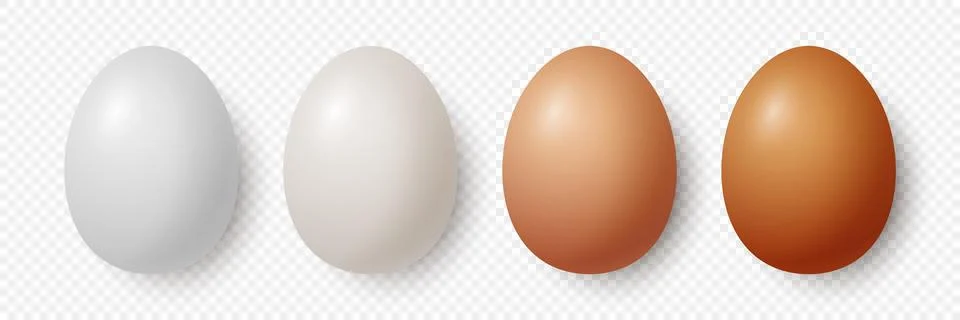 Vector 3d Realistic White and Brown Chicken Eggs Closeup Isolated. Chicken Egg Illustrazione stock