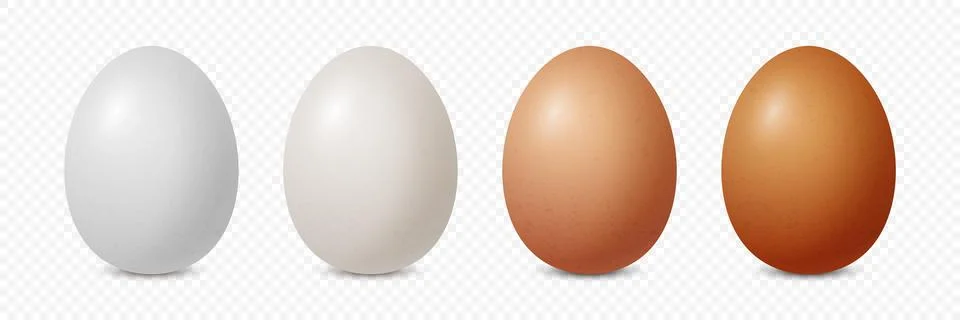 Vector 3d Realistic White and Brown Chicken Egg Icon Set Closeup Isolated Illustrazione stock