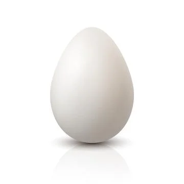 Vector 3d Realistic White Chicken Egg Closeup. Textured Chicken Egg Icon Stock Illustration