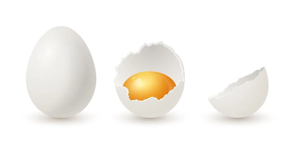 Vector 3d Realistic White Chicken Eggs. Whole and Broken Cracked Chicken Egg Stock Illustration