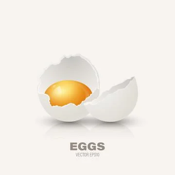 Vector 3d Realistic White Chicken Eggs. Broken Chicken Egg, Cracked Two Parts Stock Illustration