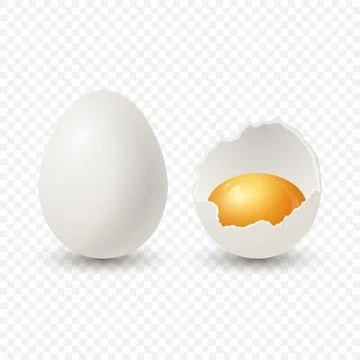 Vector 3d Realistic White Chicken Eggs. Broken Chicken Egg, Cracked Two Parts Stock Illustration
