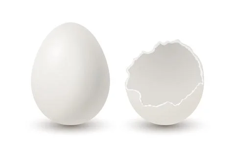 Vector 3d Realistic White Chicken Eggs. Broken Chicken Egg, Cracked Two Parts Stock Illustration