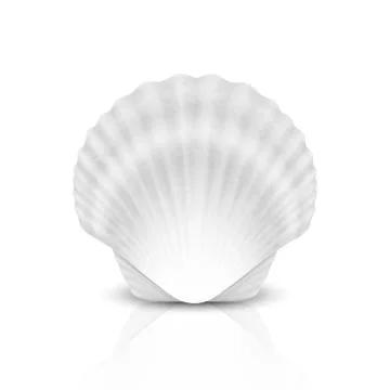 Vector 3d Realistic White Closed Scallop Pearl Seashell Icon Closeup Isolated on Illustrazione stock