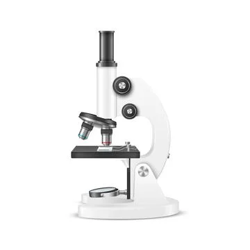 Vector 3d Realistic White Laboratory, School Microscope Isolated. Chemistry Stock Illustration