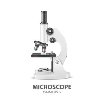 Vector 3d Realistic White Laboratory, School Microscope Isolated on White 库存插图