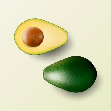 Vector 3d Realistic Whole and Cut Half Avocado with Seed Set Closeup Isolated on Stock Illustration