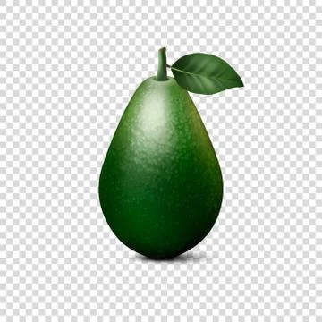 Vector 3d Realistic Whole Avocado with Leaf Closeup Isolated on Transparent Stock Illustration