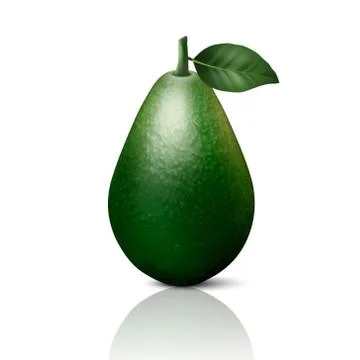 Vector 3d Realistic Whole Avocado with Leaf Closeup Isolated on White Background Stock Illustration
