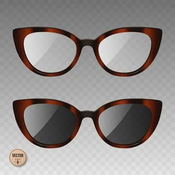 Vector 3d Tortoiseshell Glasses Set. Eyeglasses and Sunglasses with Tortois.. Stock Illustration