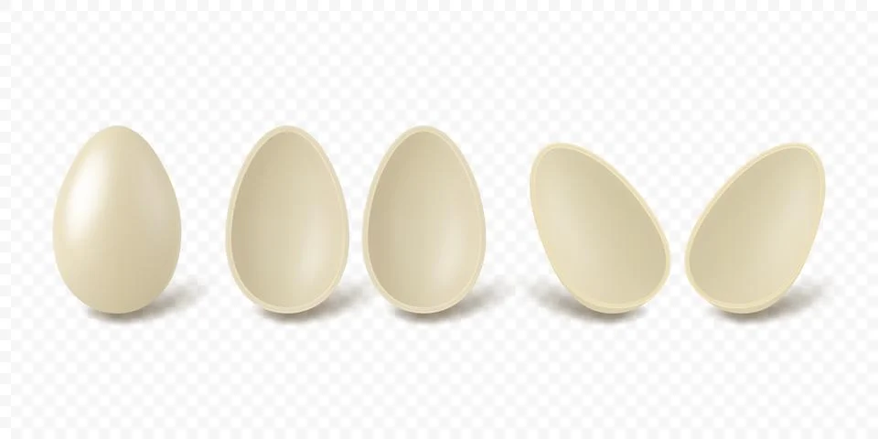 Vector 3d White Chocolate Egg Set with Multiple Angles. Whole and Half Shell Illustrazione stock