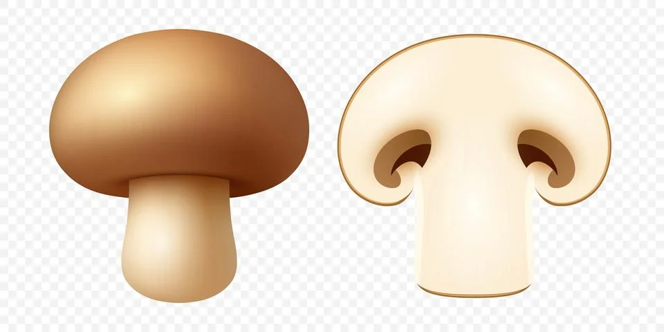 Vector 3d Whole and Sliced Champignon Mushroom Set. Realistic Fresh White Stock Illustration