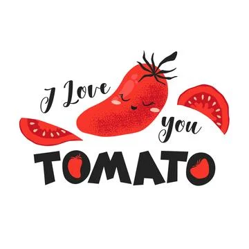 Vector abstract art illustration with hand drawn cute tomatoes and letterin.. Stock Illustration