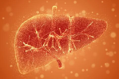 Vector abstract background of dots and glows. human liver. Stock Illustration
