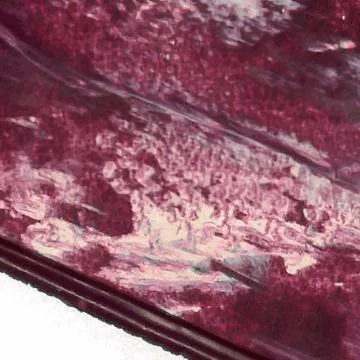 Vector abstract background texture brush stroke hand painted with acrylic pai Stock Illustration