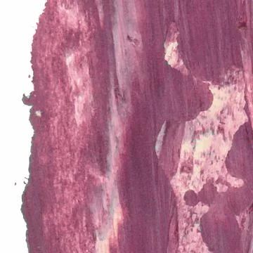 Vector abstract background texture brush stroke hand painted with acrylic pai Stock Illustration