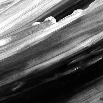 Vector abstract background texture brush stroke hand painted with acrylic pai Stock Illustration