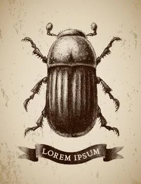 Vector abstract beetle hand-drawn in the style of vintage etchings Stock Illustration