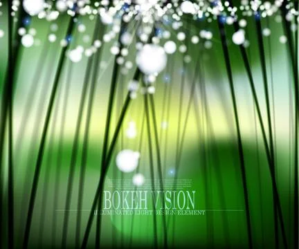 Vector abstract bokeh vision in the forrest background design II Stock Illustration