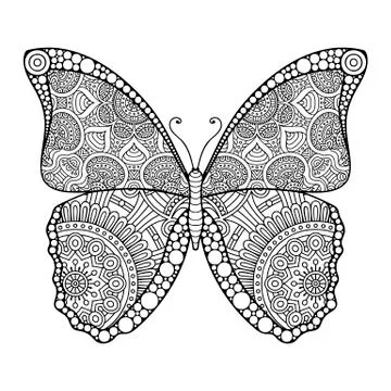 Vector abstract Butterfly Stock Illustration