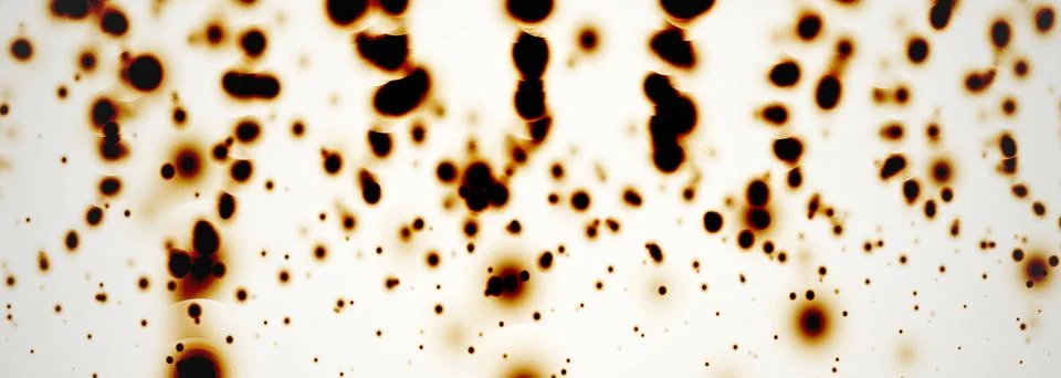 Vector abstract digital technology scientific white background Illustrazione stock