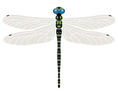 Vector abstract dragonfly symbol Stock Illustration