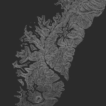 Vector abstract earth relief map. Generated conceptual elevation map. Isoline Stock Illustration