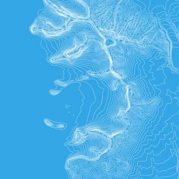 Vector abstract earth relief map. Generated conceptual elevation map. Isoline Stock Illustration