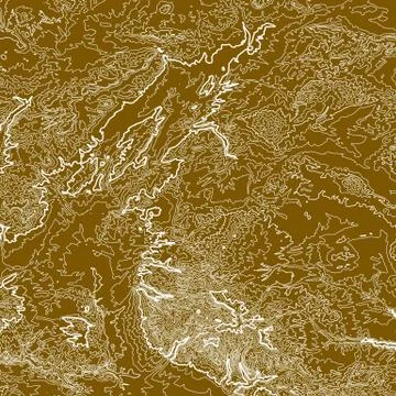 Vector abstract earth relief map. Generated conceptual elevation map. Isoline Stock Illustration