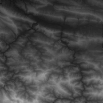Vector abstract earth relief map. Generated conceptual elevation map. Isoline Stock Illustration