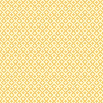 Vector abstract geometric background. Intertwined lines. Illustrazione stock