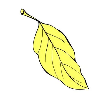 Vector abstract golden leaf in flat doodle style. Simple clip art, design ele 스톡 일러스트