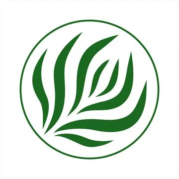 Vector abstract green round logo design templates - emblems for holistic medi Stock Illustration