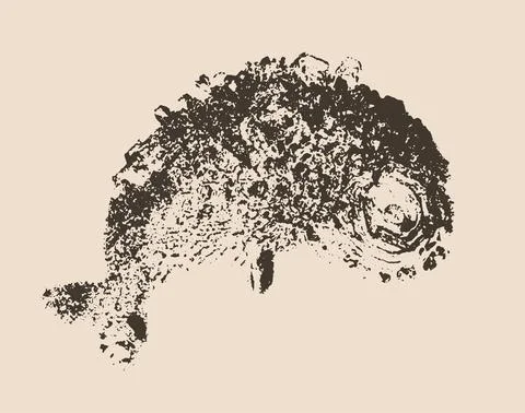 Vector abstract ink drawing, graphite strokes on a white background, fish image Stock Illustration