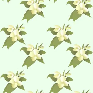 Vector abstract jasmine flower seamless pattern Stock Illustration