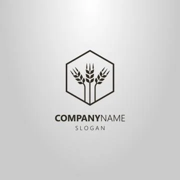 Vector abstract logo three wheat ears in a hexagon frame Stock Illustration