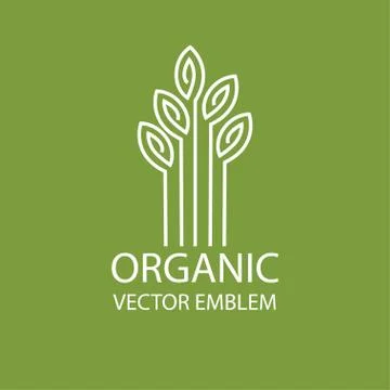 Vector abstract organic emblem, outline monogram, tree symbol Stock Illustration
