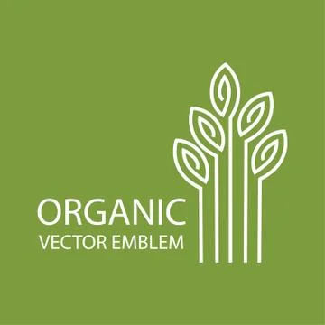 Vector abstract organic emblem, outline monogram, tree symbol Stock Illustration