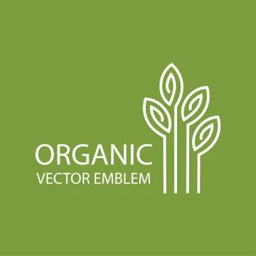 Vector abstract organic emblem, outline monogram, tree symbol Stock Illustration