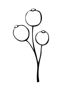 Vector abstract outline twig with berries in doodle style. Botanical clipart, Stock Illustration