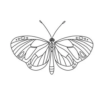 Vector. Abstract polygonal butterfly Stock Illustration