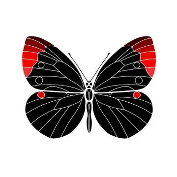 Vector. Abstract polygonal butterfly Stock Illustration